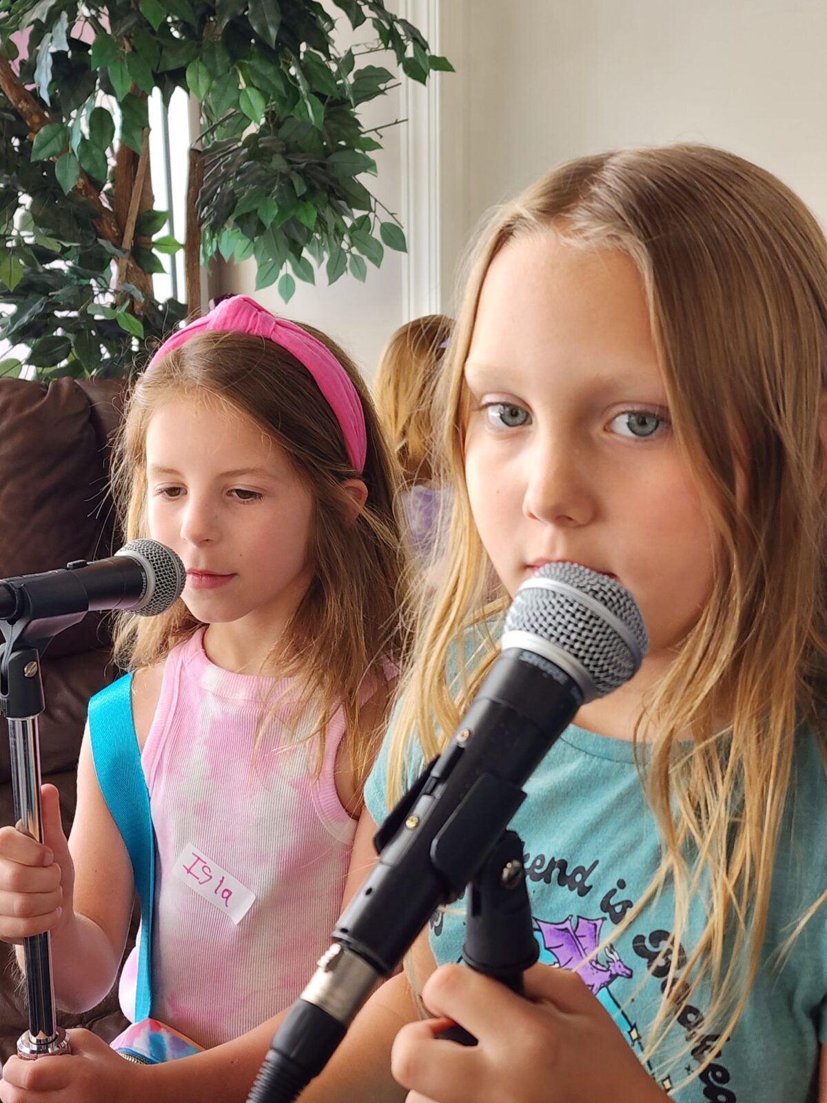 Voice Lessons at MTMS